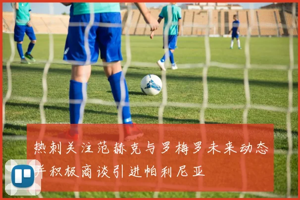 热刺关注范赫克与罗梅罗未来动态并积极商谈引进帕利尼亚